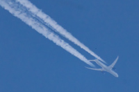 N17015